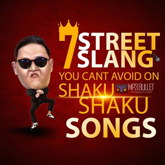 7 Street Slangs You Can't Avoid On Shaku Shaku Songs