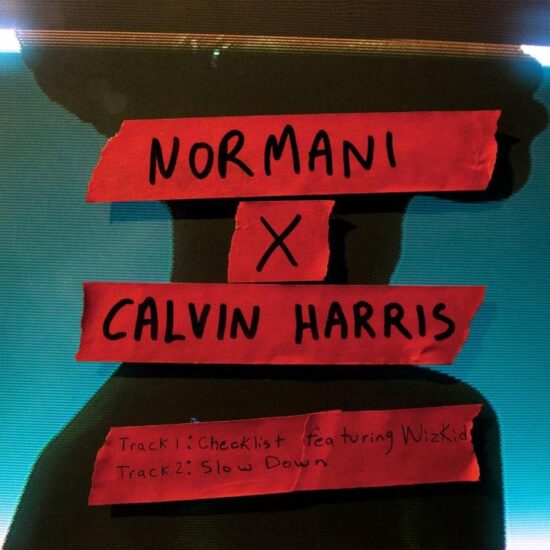 Download Normani X Calvin Harris ft. WizKid Checklist Mp3 Download