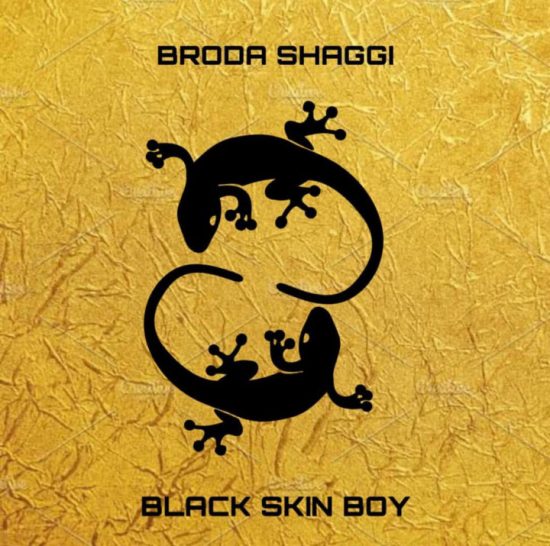 Broda Shaggi Black Skin Boy Mp3 Download