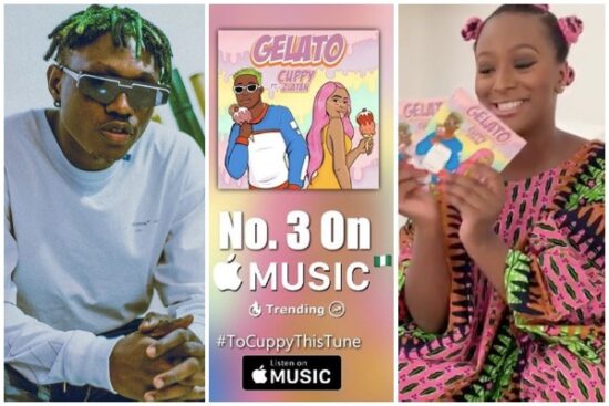 DJ Cuppy's Collaboration with Zlatan is a plus for the street.