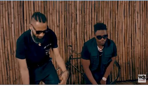 Rayvanny ft. Phyno – Slow Video Download Mp4