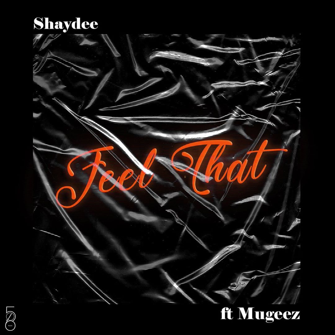 Shaydee ft. Mugeez – Feel That Mp3 Download