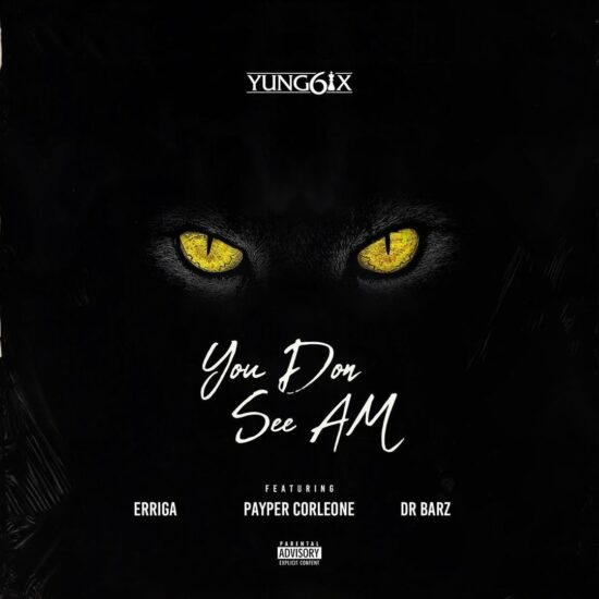Yung6ix – You Don See Am ft. Erigga, Payper Corleone, Dr Barz Mp3 Download