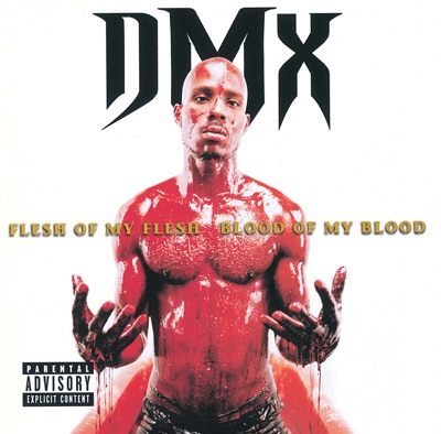 DMX - Blackout