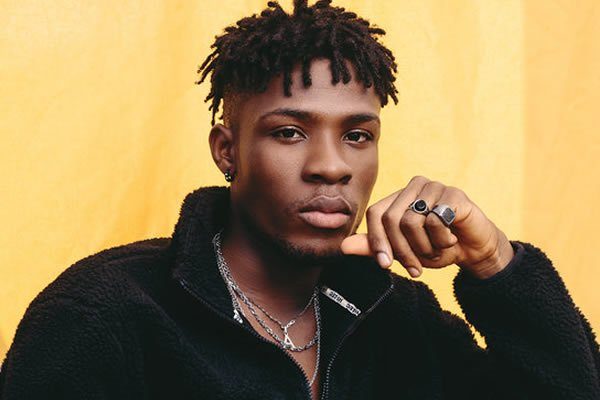 Top 10 Nigerian musicians with dreadlocks