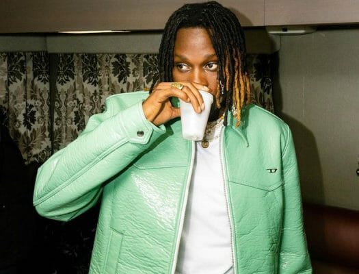 The impact of Fireboy DML's Billboard hot 100 entry in the Nigerian music