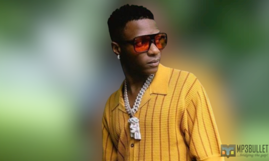 See the artists Wizkid is rumoured to be featuring on his MLLE album