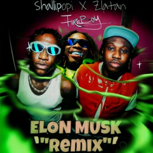 Shallipopi ft Zlatan, Fireboy DML - Elon Musk Remix